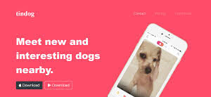 TIN DOG BOOTSTRAP PROJECT