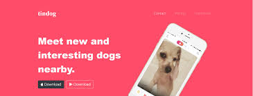 TIN DOG BOOTSTRAP PROJECT